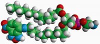 14:0-12:0 NBD PE 810152P-1MG