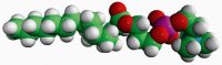 15:0 Lyso PC 855576C-25MG