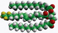 15:0-18:1-d7-15:0 TG 791648C-1MG