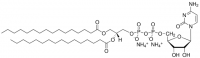 16:0 CDP DG 870510P-5MG