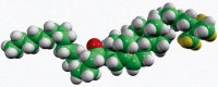 16:0 cholesteryl-d7 ester 