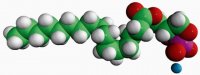 16:0 Cyclic LPA 857323P-1MG