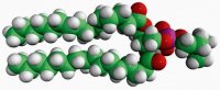 16:0 Dimethyl PE 850854P-25MG