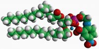 16:0 DNP PE 810508C-25MG