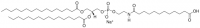 16:0 Dodecanoyl PE 870265P-25MG