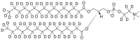 16:0 PC-d66 860356P-10MG