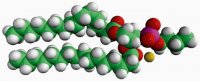 16:0 Phosphatidylbutanol 860202C-25MG