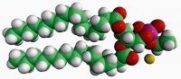 16:0 Phosphatidylethanol