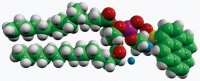 16:0 Pyrene PE 810334P-1MG