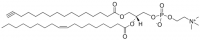 16:0(Alkyne)-18:1 PC 