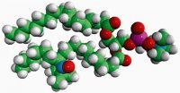 16:0-12 Doxyl PC 810600P-1MG