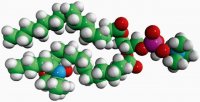 16:0-14 Doxyl PC 810605P-1MG