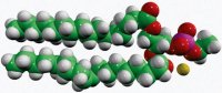 16:0-18:1 Phosphatidylethanol
