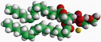 16:0-18:2 PG 840497P-25MG