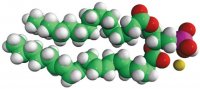 16:0-20:4 PA 840859C-25MG