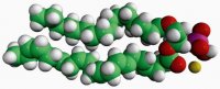 16:0-22:6 PA 840860C-25MG