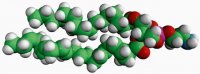 16:0-22:6 PE 850801C-25MG