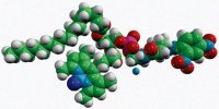 16:0-C4 TopFluor� DNP Cap PE 810289C-1MG
