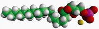 17:0 Lyso PA 857127P-25MG