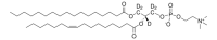 17:0-16:1 PC-d5 855682L-1MG