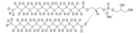 18:0 PG-d70 860383P-10MG