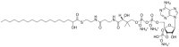 18:0(-OH) Coenzyme A 870734P-5MG