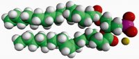 18:0-18:1 PA 840861C-25MG
