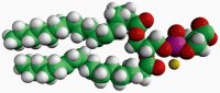18:0-18:2 PS 840063C-10MG