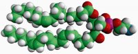 18:0-20:4 PE 850804C-25MG