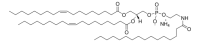 18:1 PE-N-16:0 