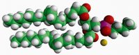 18:1 Phosphatidylbutanol 860203O-25MG