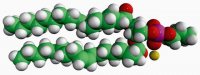 18:1 Phosphatidylpropanol 860103C-25MG