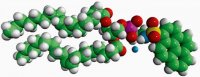 18:1 Pyrene PE 810331P-1MG