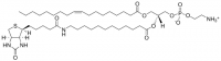 18:1-12:0 Biotin PE 860562C-1MG