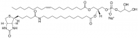 18:1-12:0 Biotin PG 