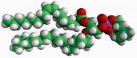 18:1-18:0 PC 850476P-25MG