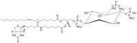 18:1-6:0 Biotin PI(4,5)P2 