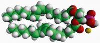 18:2 PA 840885P-25MG