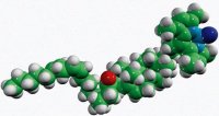 18:2 TopFluor� cholesterol 810290P-1MG