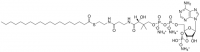 19:0 Coenzyme A 870738P-5MG