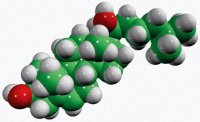 20-hydroxycholesterol 