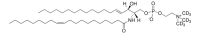 20:1 SM (d18:1/20:1)-d9 860742L-1MG