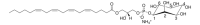 20:4 Lyso PI 