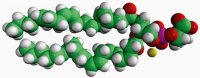 20:4 PS 840066C-25MG