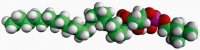22:0 Lyso PC 855779C-25MG