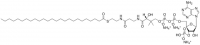 25:0 Coenzyme A 870729P-5MG