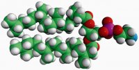 4ME 16:0 PE 850402P-25MG