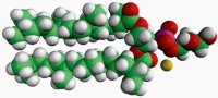 4ME 16:0 PG 850404C-25MG