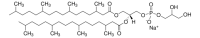 4ME 16:0 PG 850404P-25MG