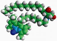C11 TopFluor� Ceramide 810262P-250UG